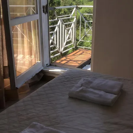 度假居 Casa Nessi 索尔索